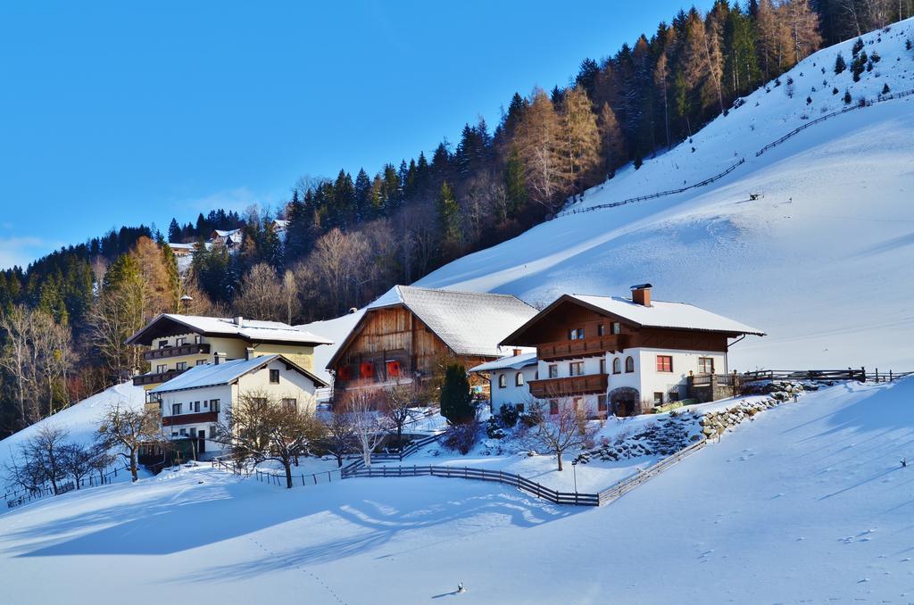 Spreitzhof - Appartements Шладминг Экстерьер фото
