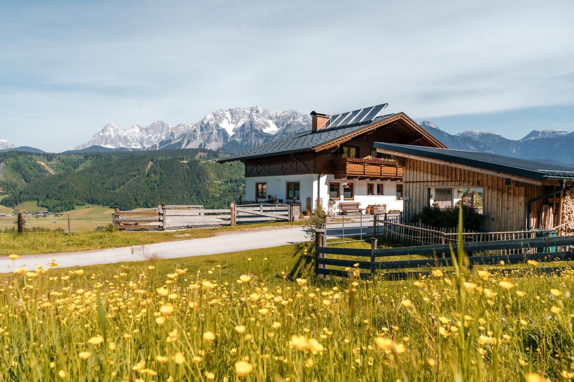 Spreitzhof - Appartements Шладминг Экстерьер фото